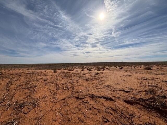 325 acres in Yoakum County gallery image 3