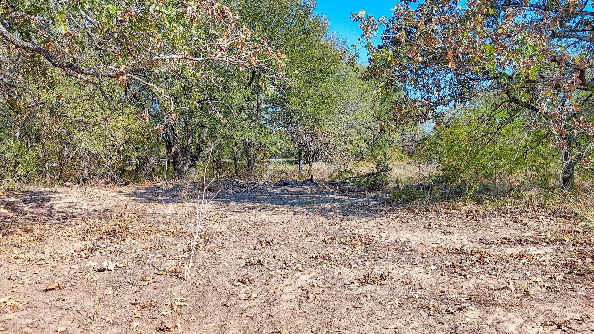 1.06 acres in Navarro County - photo 12