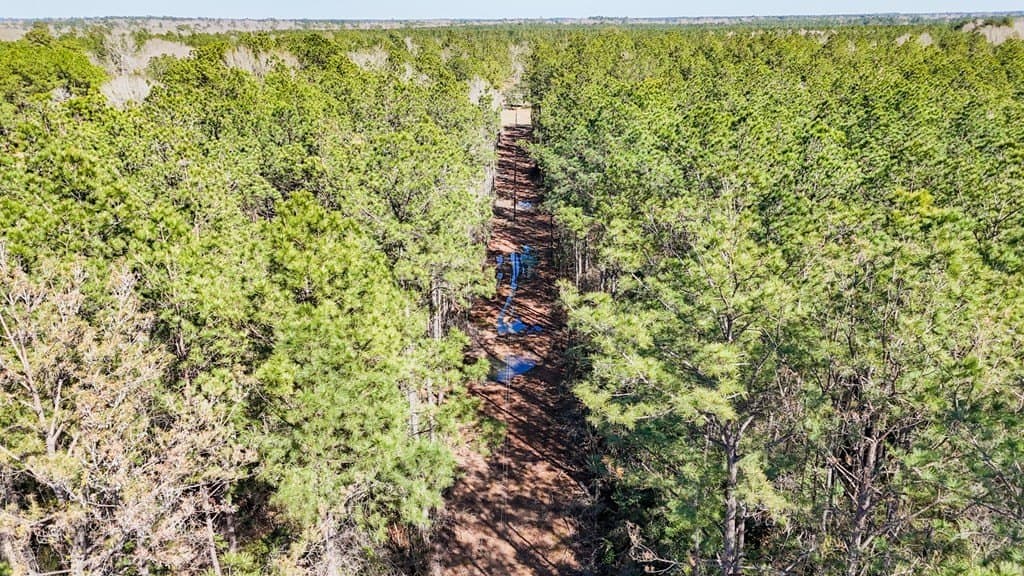 13.87 acres in Texas County gallery image 3