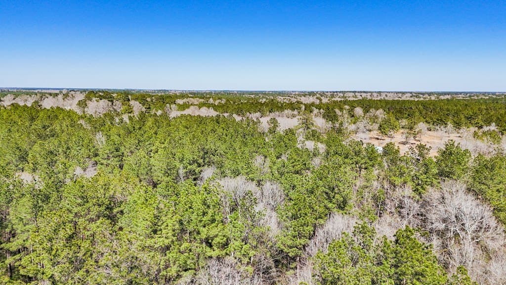13.87 acres in Texas County - photo 13