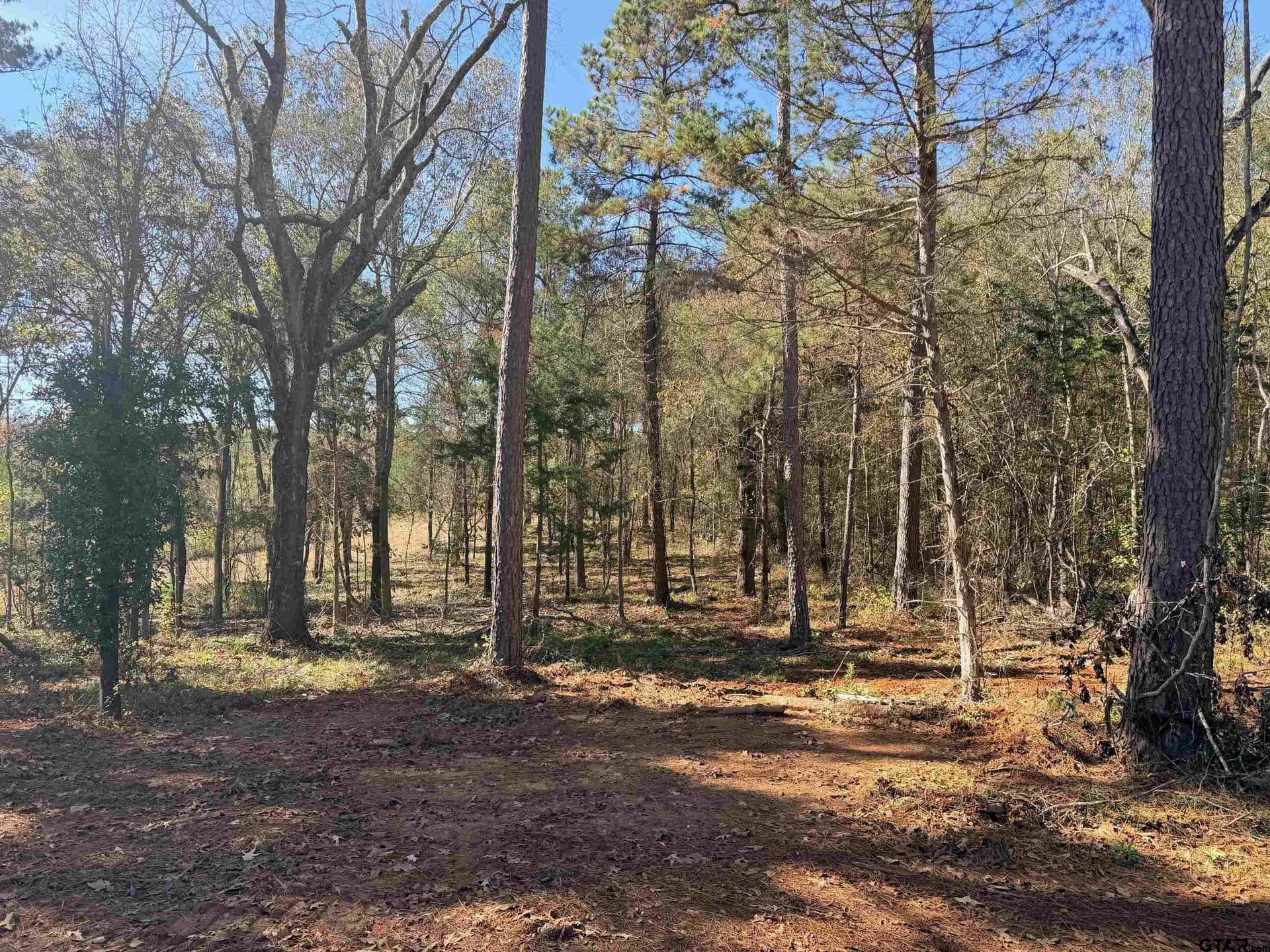 6.82 acres in Smith County featured view