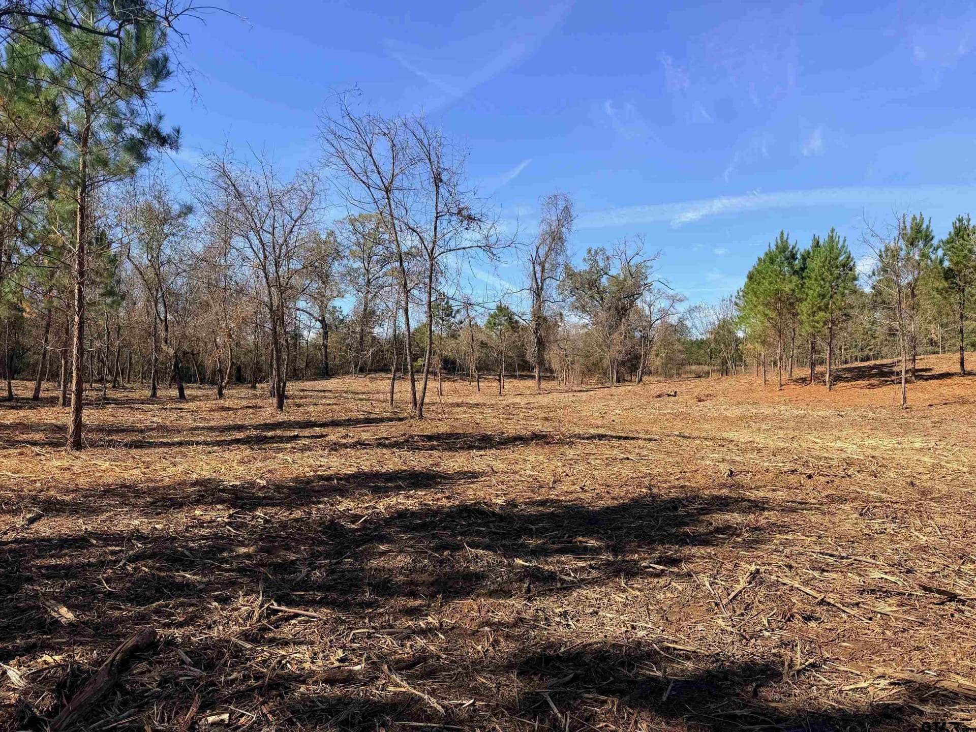 6.82 acres in Smith County gallery image 3