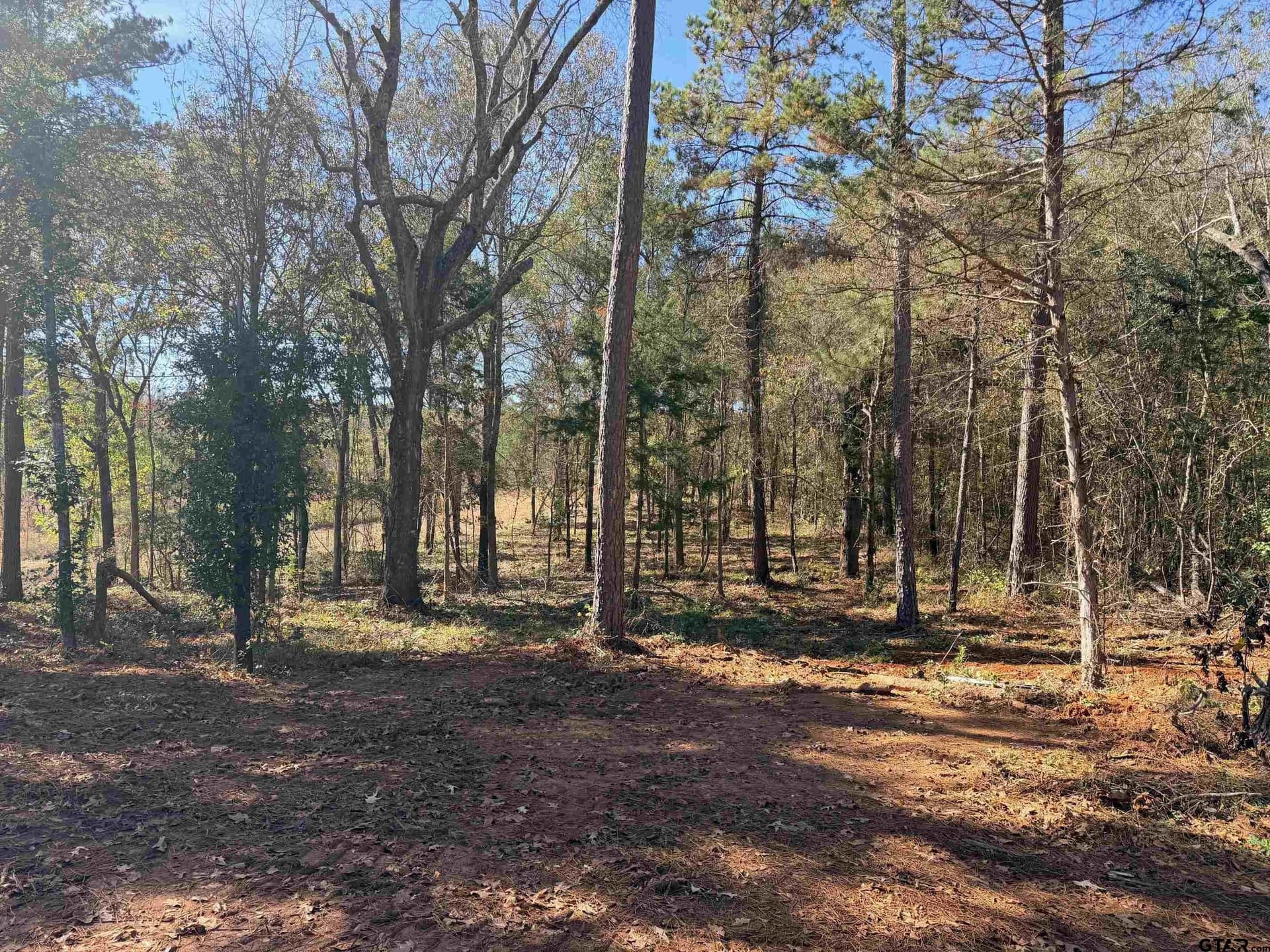 6.82 acres in Smith County gallery image 4