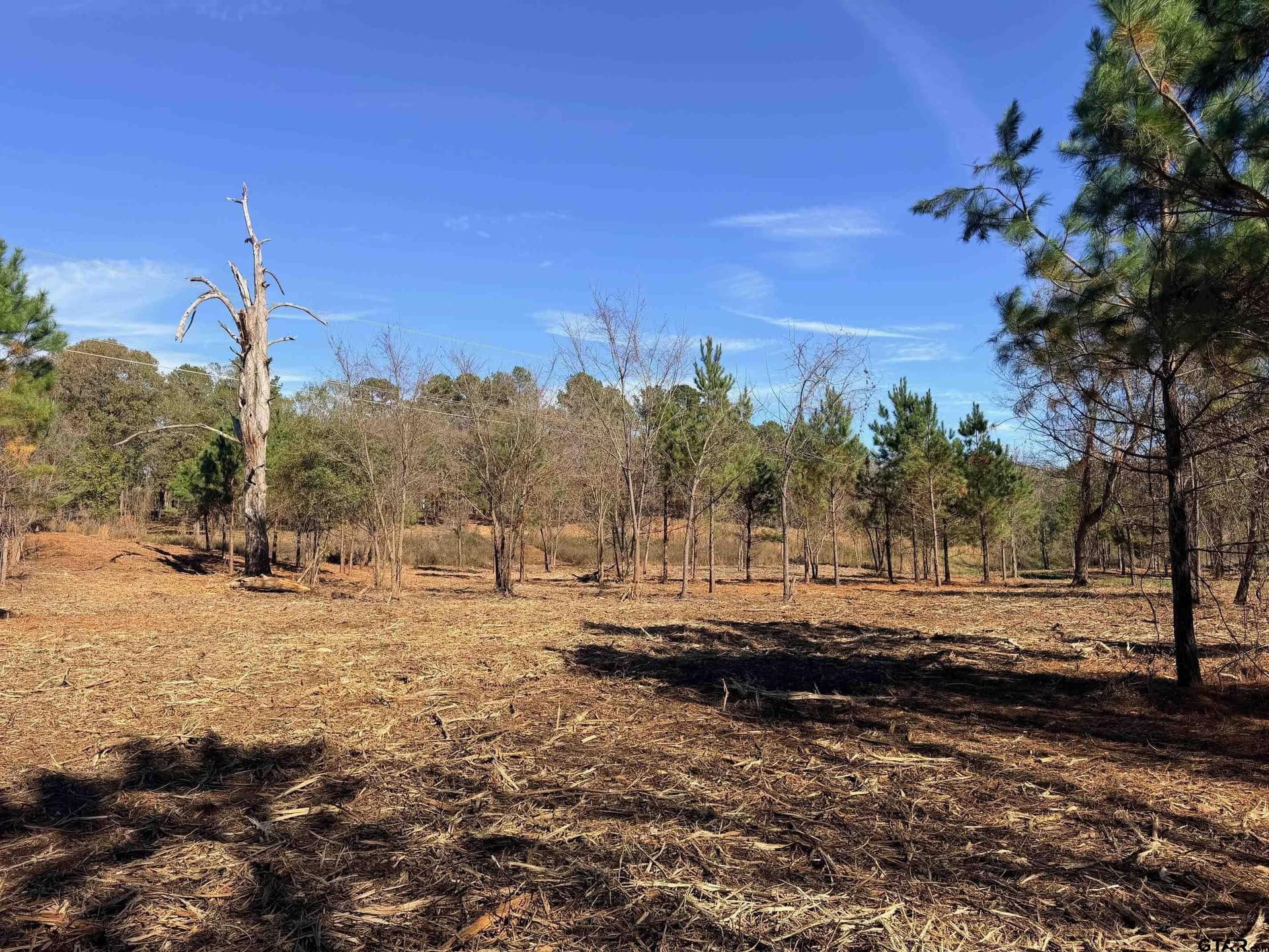 6.82 acres in Smith County gallery image 2
