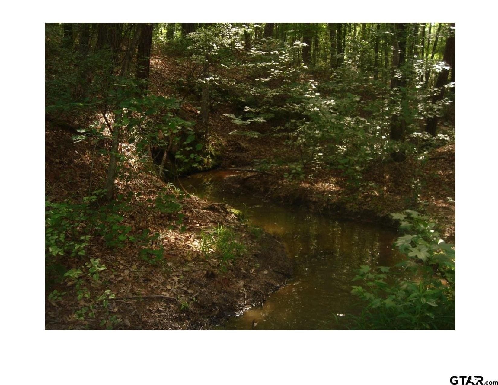 35.47 acres in Wood County - photo 8