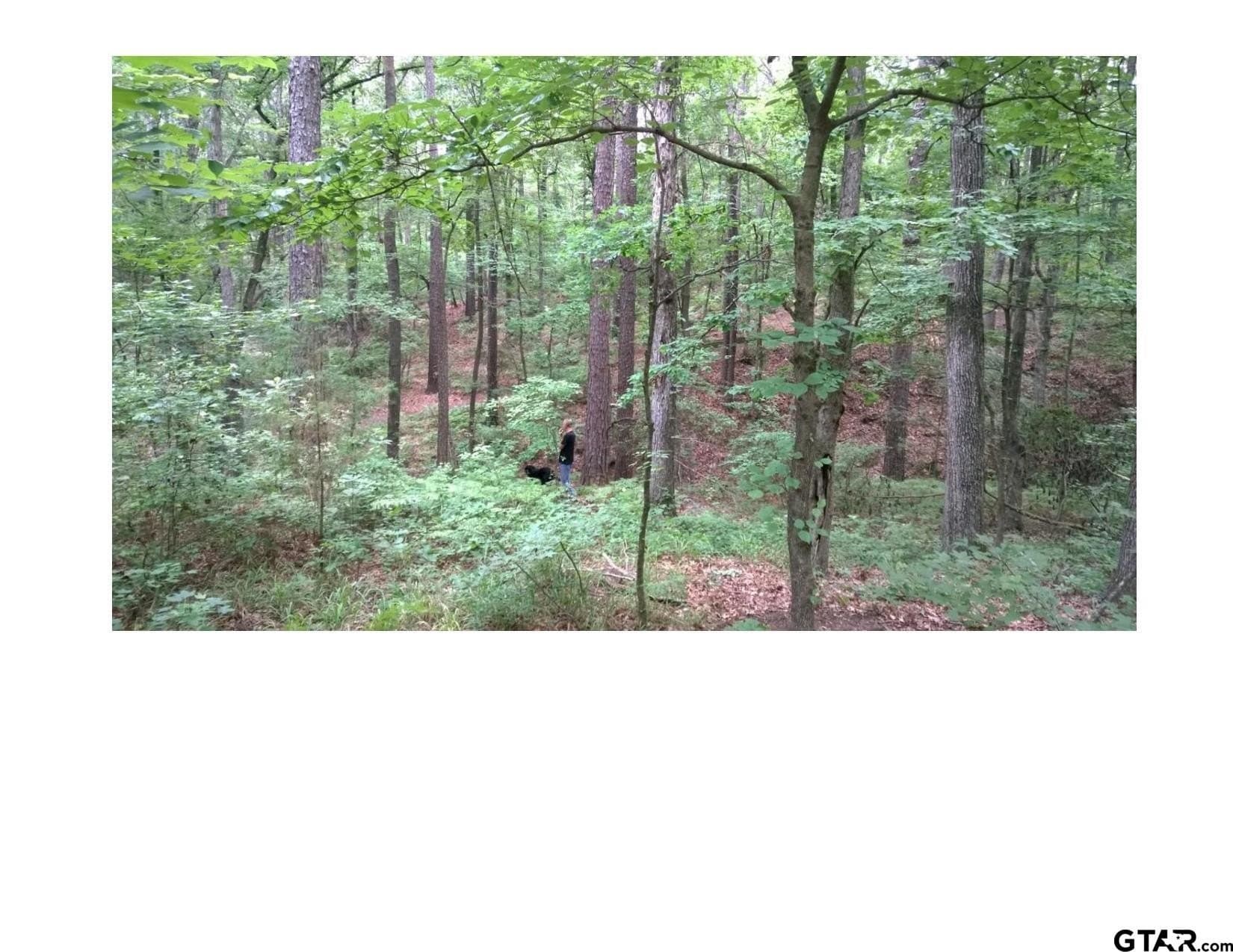 35.47 acres in Wood County - photo 6