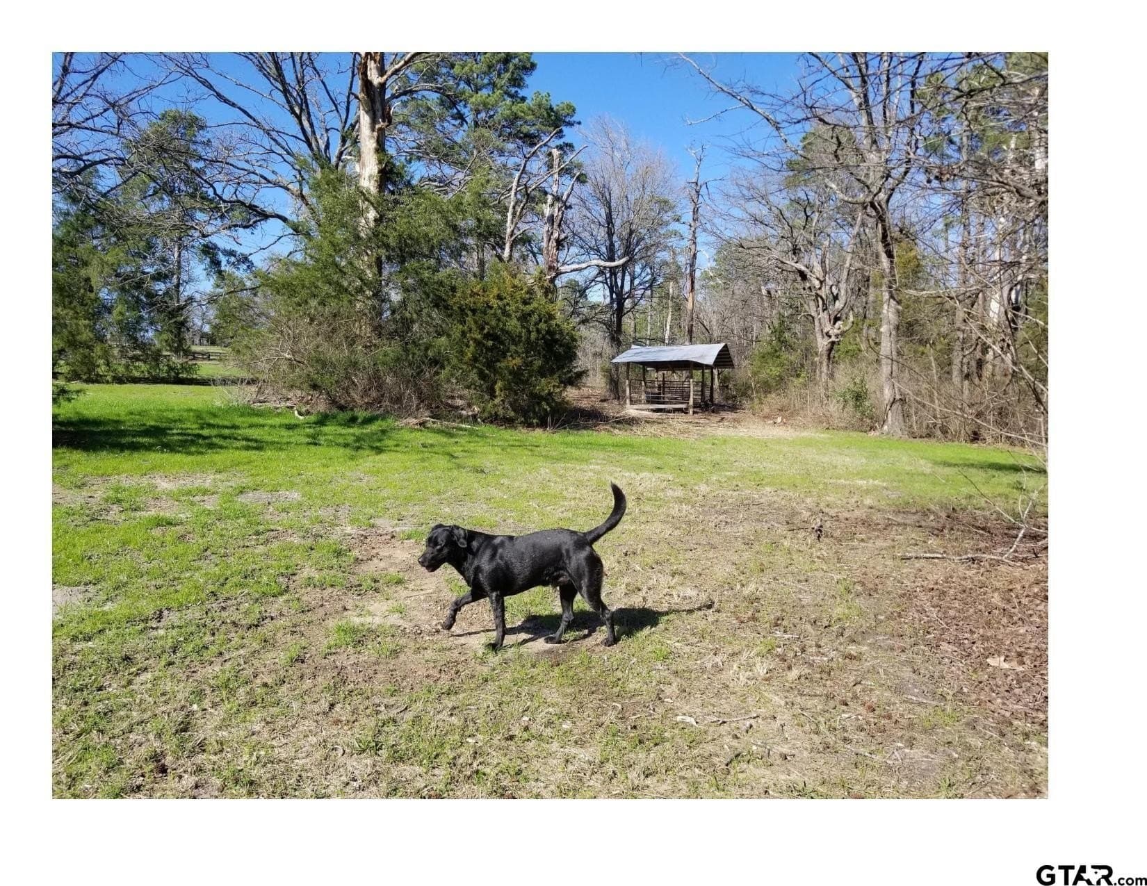 35.47 acres in Wood County - photo 17