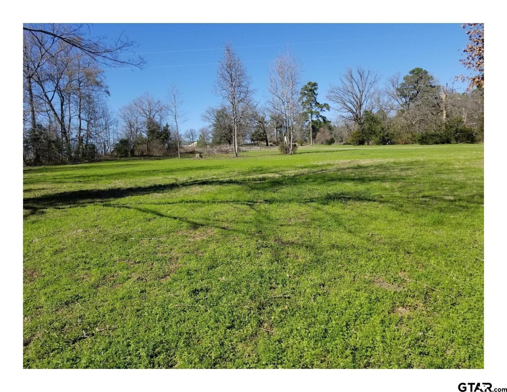 35.47 acres in Wood County - photo 16