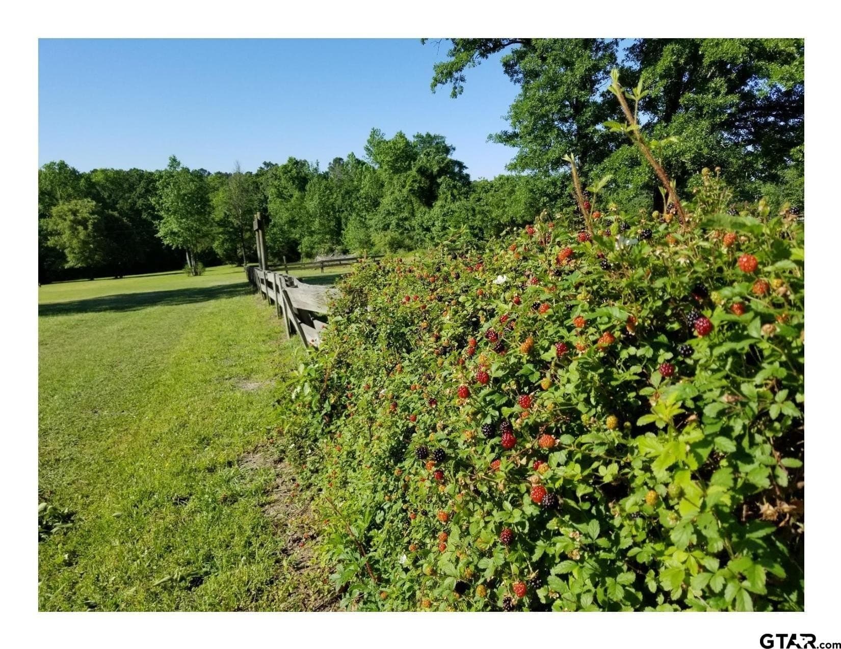 35.47 acres in Wood County - photo 11
