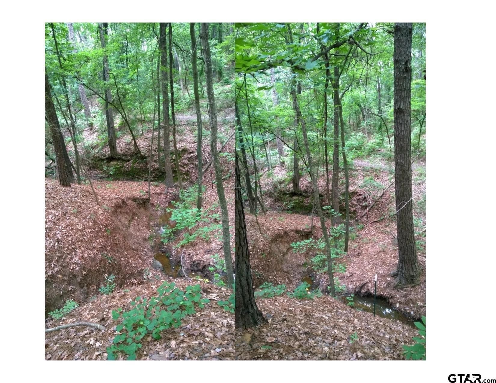 35.47 acres in Wood County - photo 5