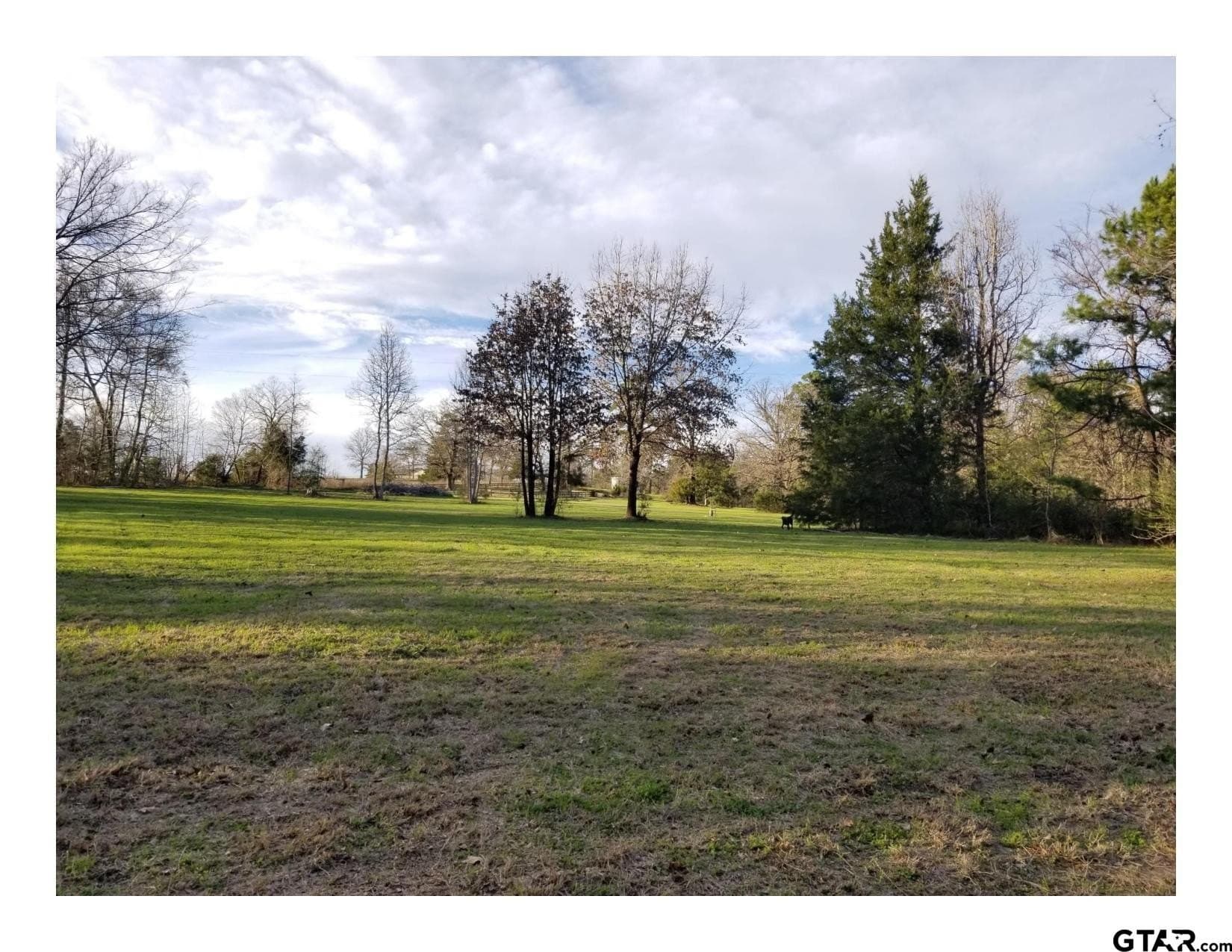 35.47 acres in Wood County - photo 19