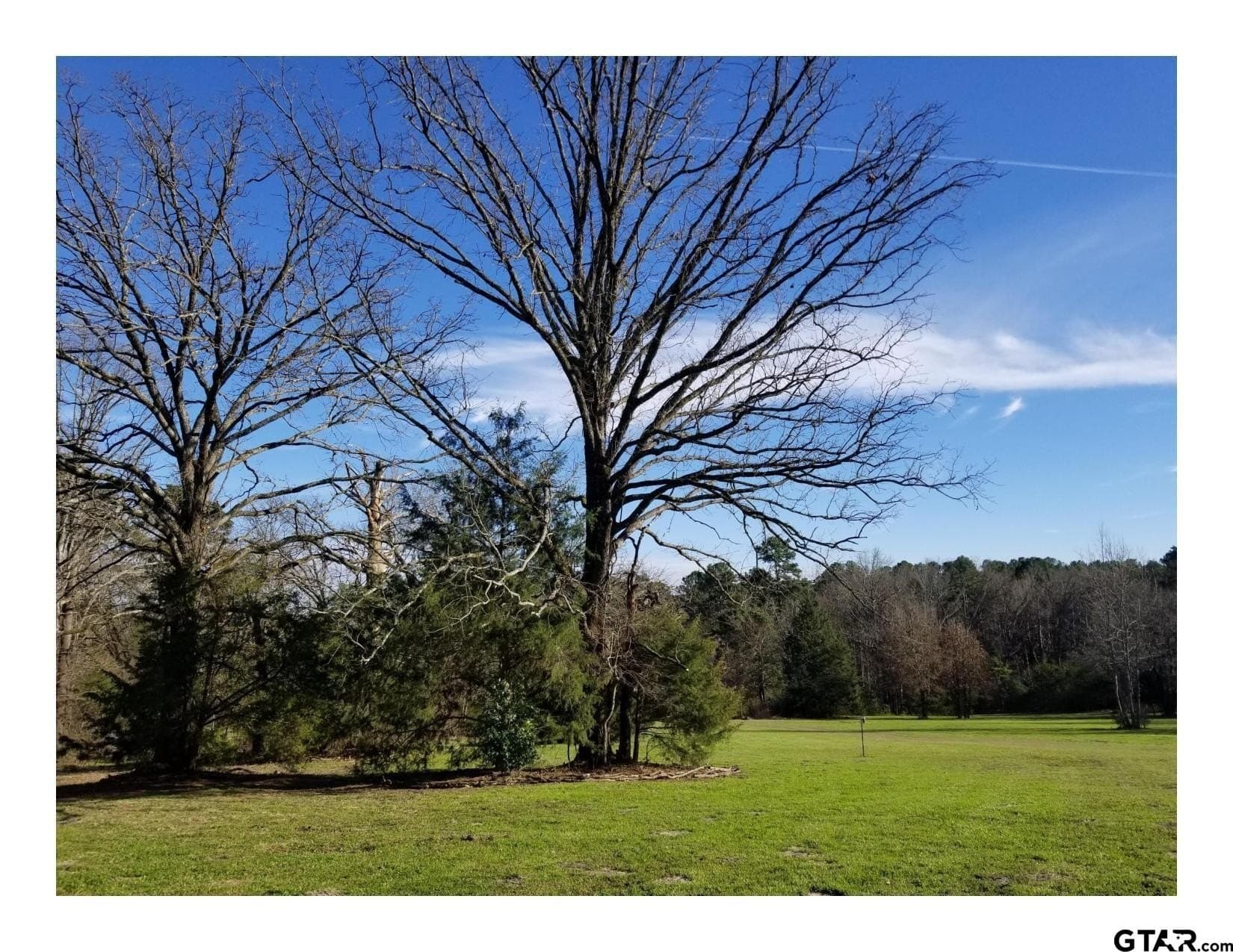 35.47 acres in Wood County - photo 18