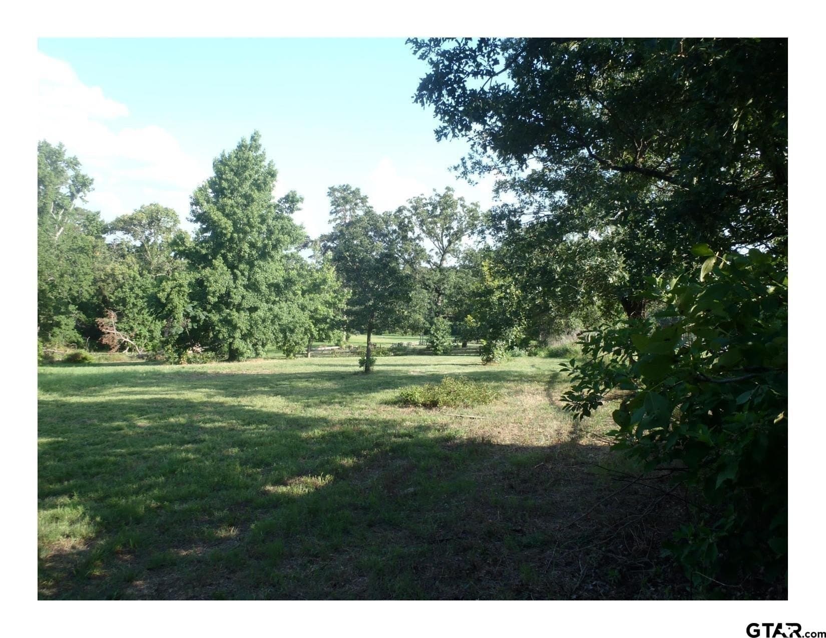 35.47 acres in Wood County - photo 3