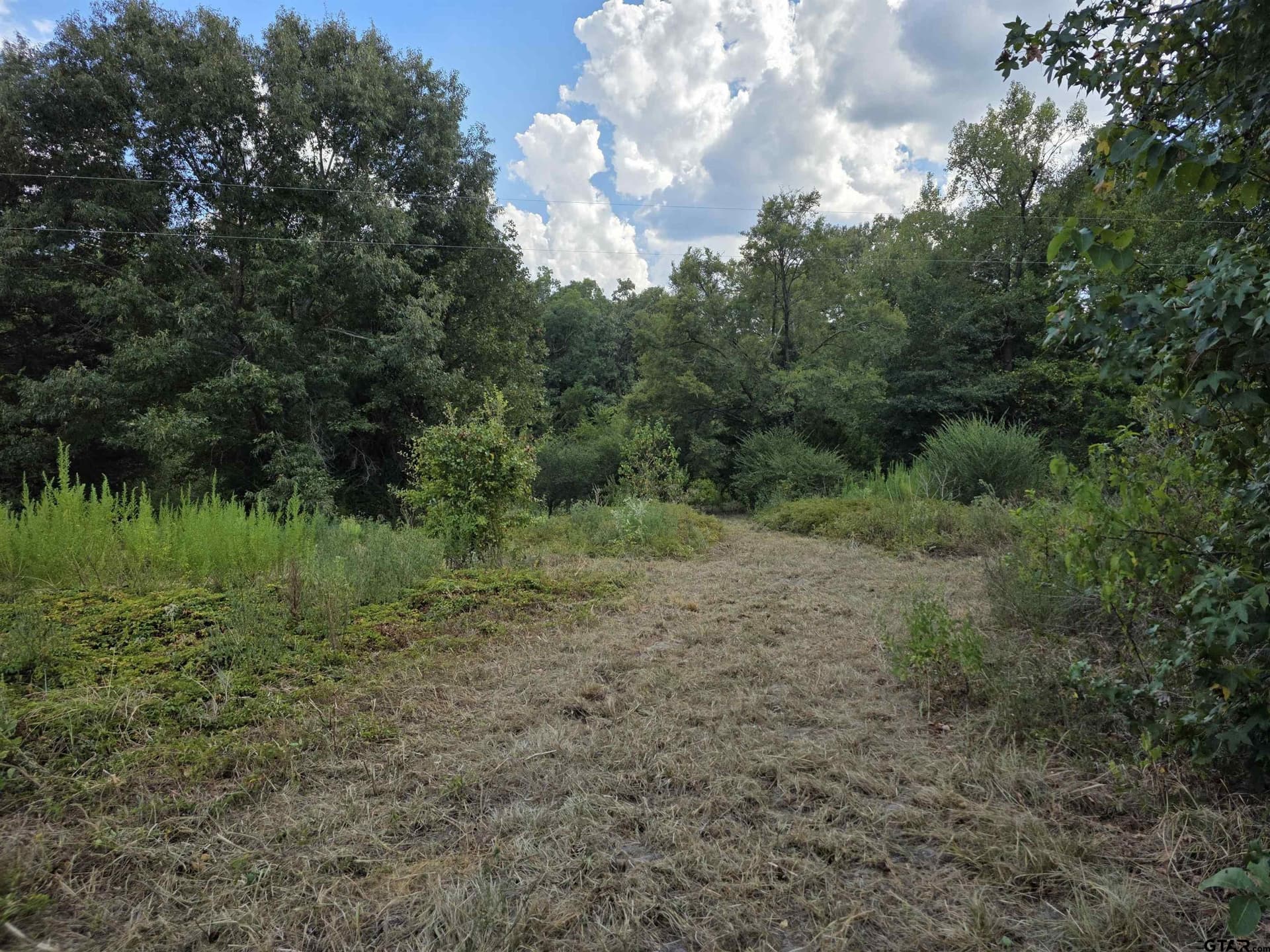 35.47 acres in Wood County - photo 27