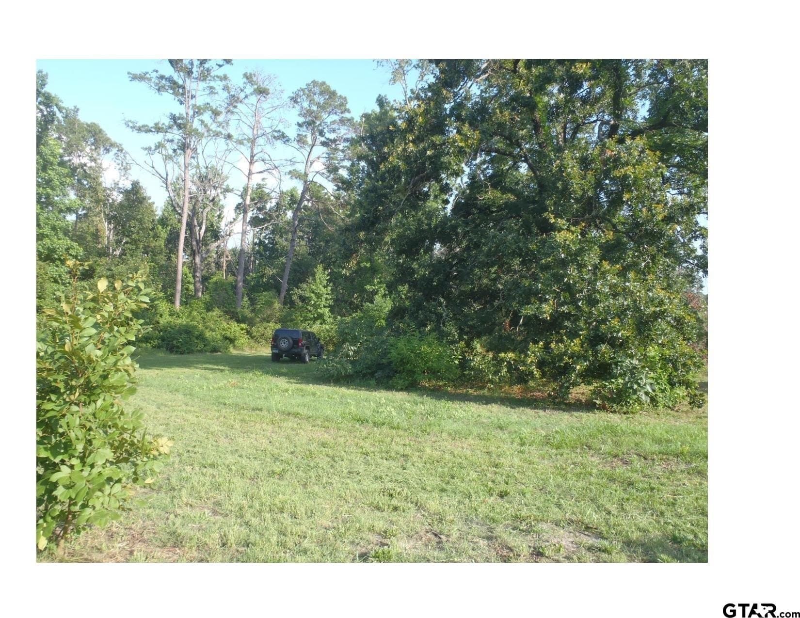 35.47 acres in Wood County - photo 21