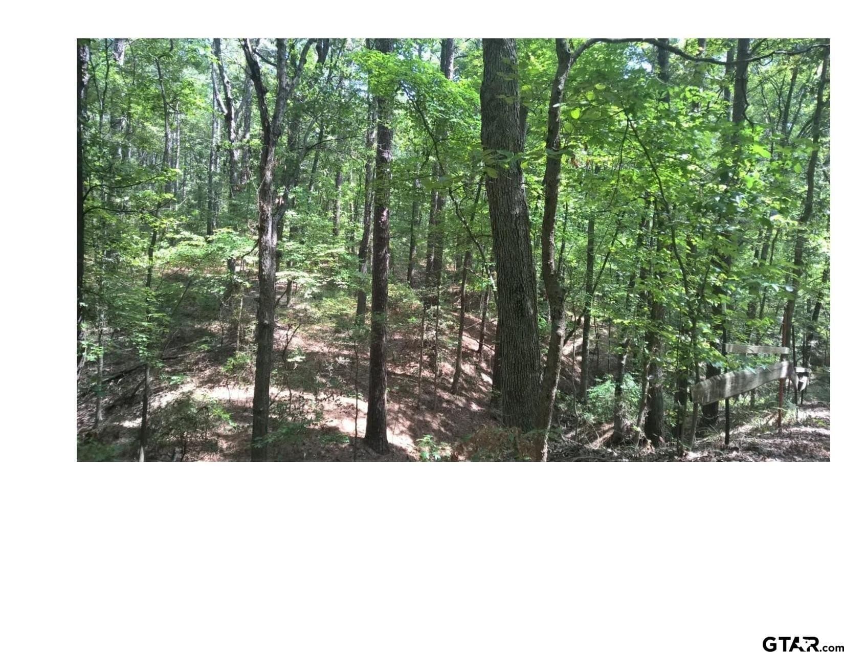 35.47 acres in Wood County - photo 10