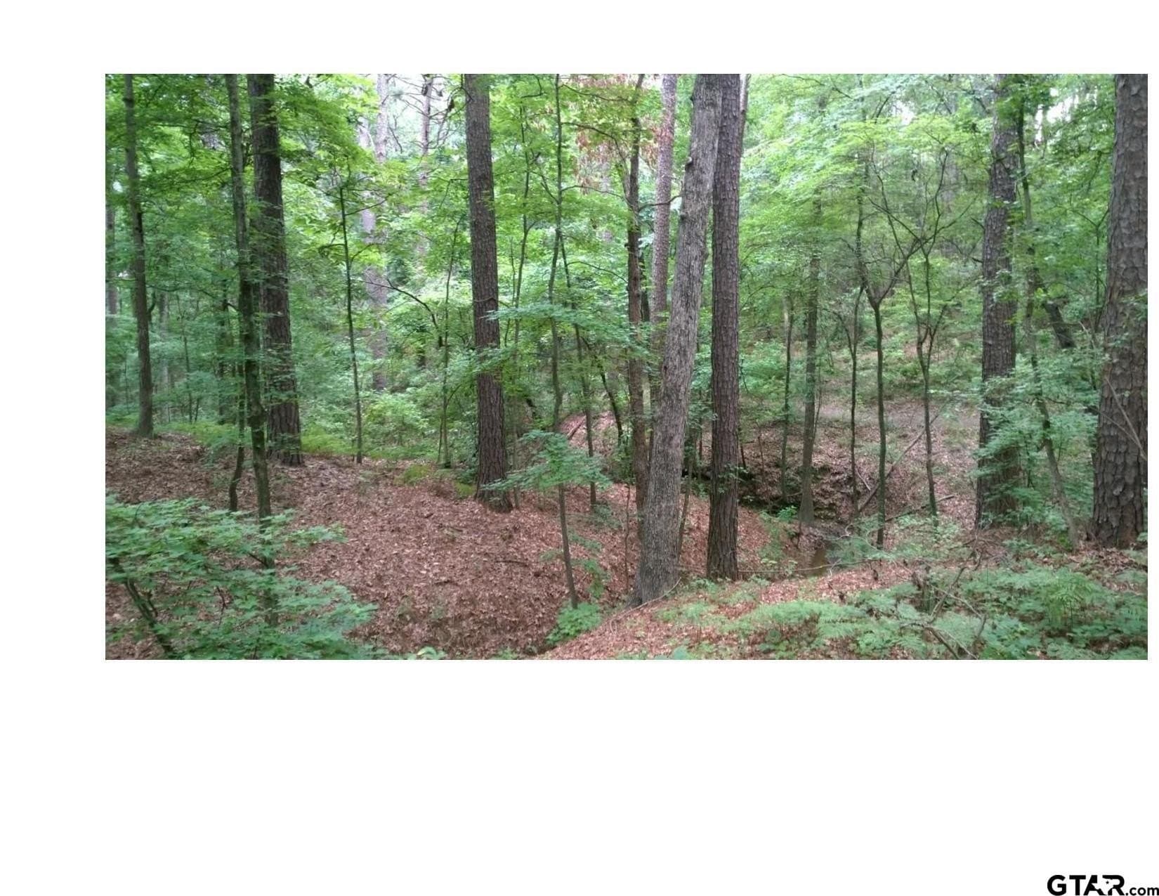 35.47 acres in Wood County - photo 7