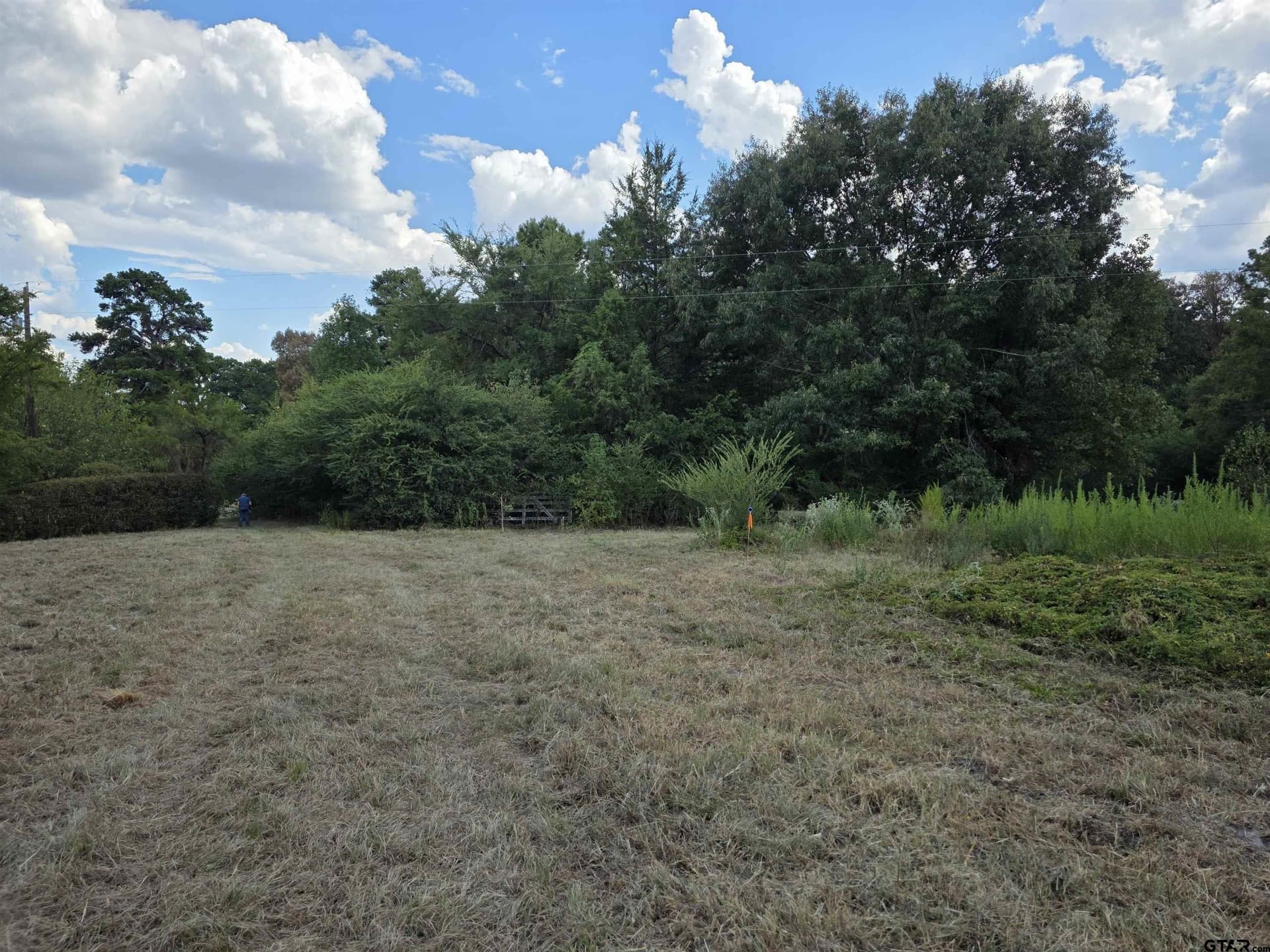 35.47 acres in Wood County - photo 30
