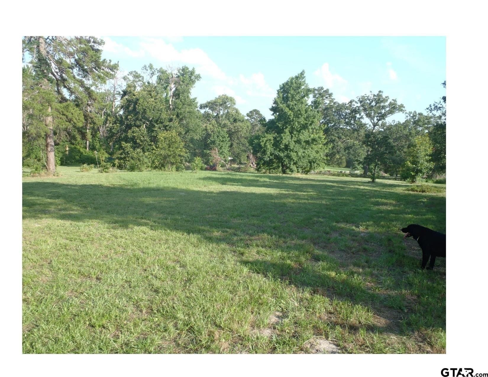 35.47 acres in Wood County - photo 22