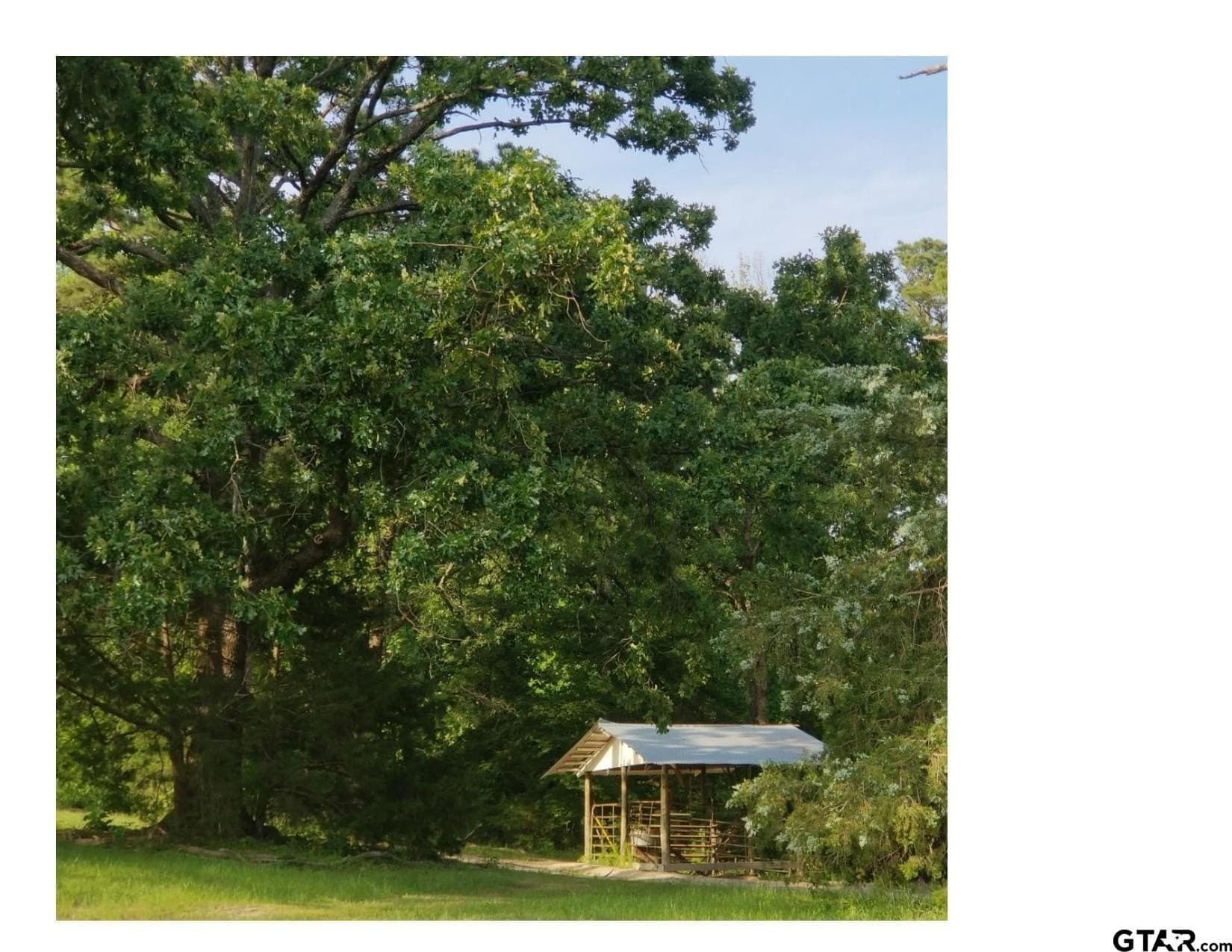 35.47 acres in Wood County - photo 14