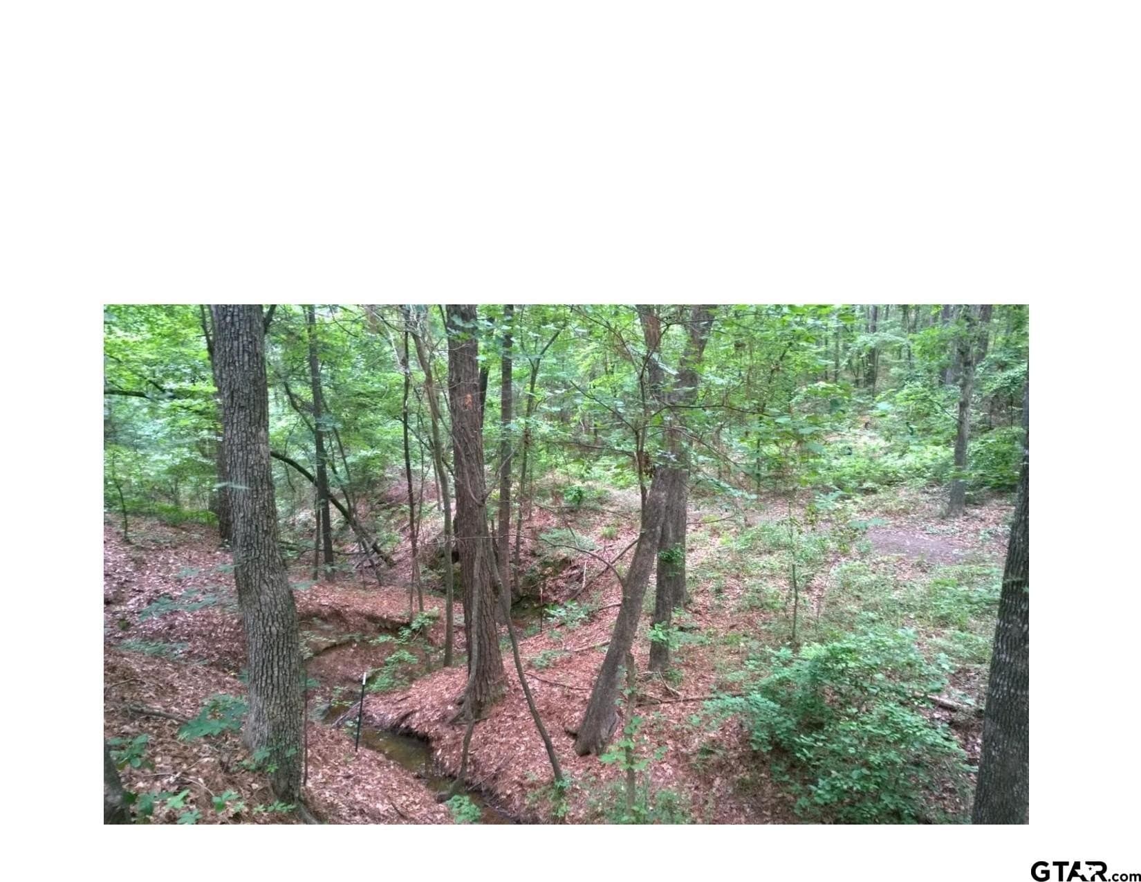 35.47 acres in Wood County - photo 4