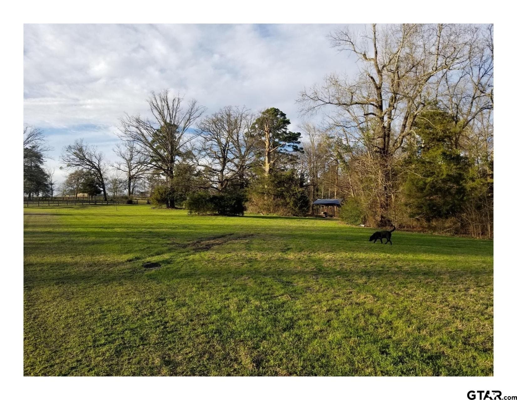 35.47 acres in Wood County - photo 20