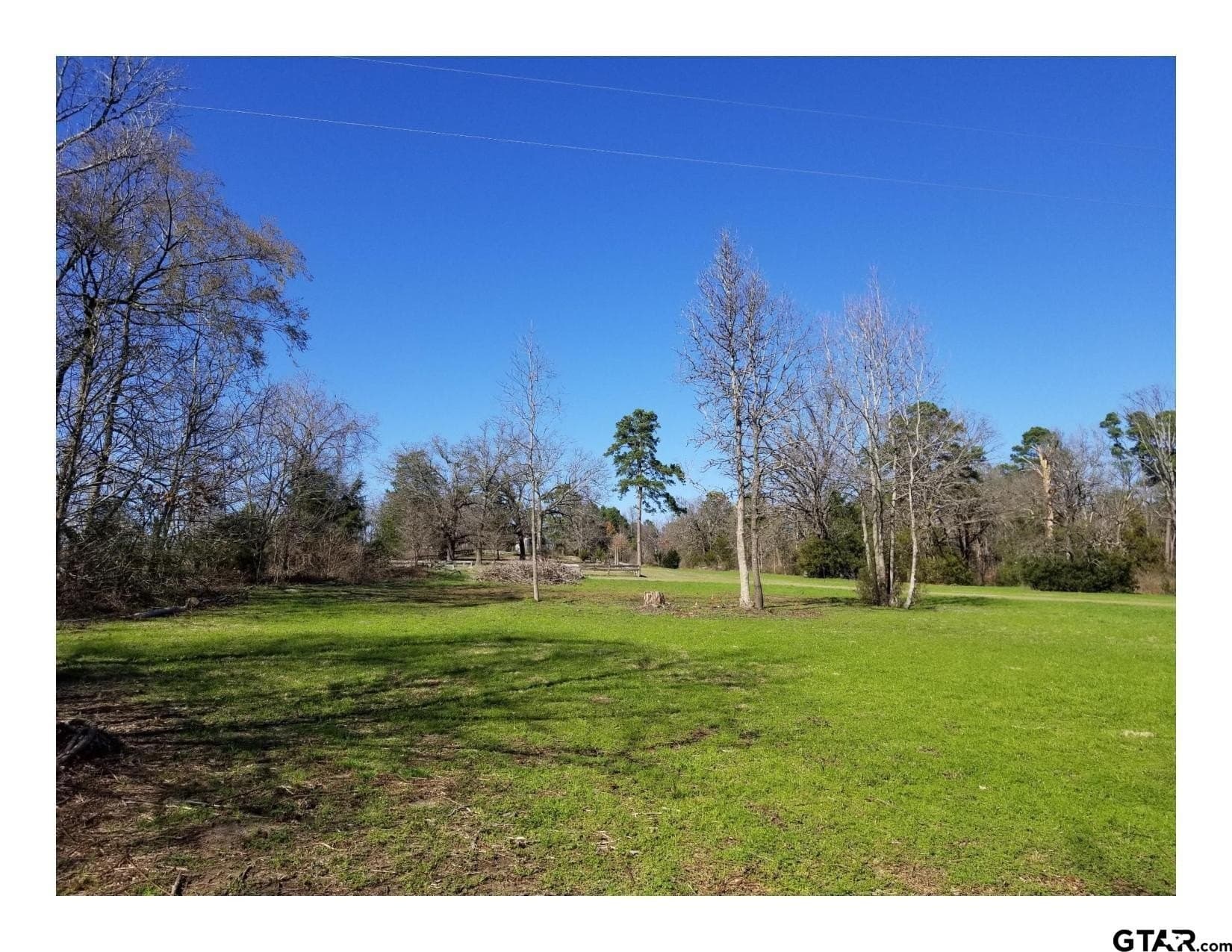 35.47 acres in Wood County - photo 15