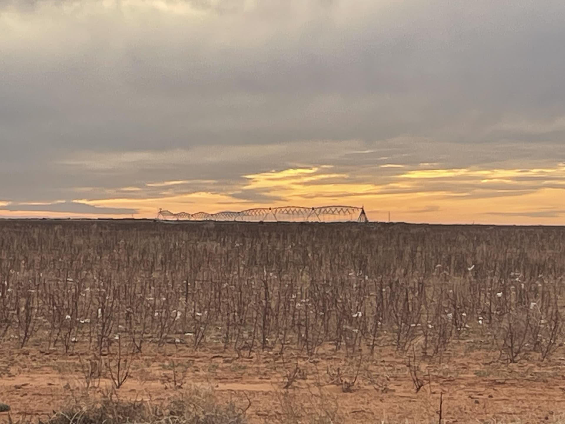 640 acres in Gaines County