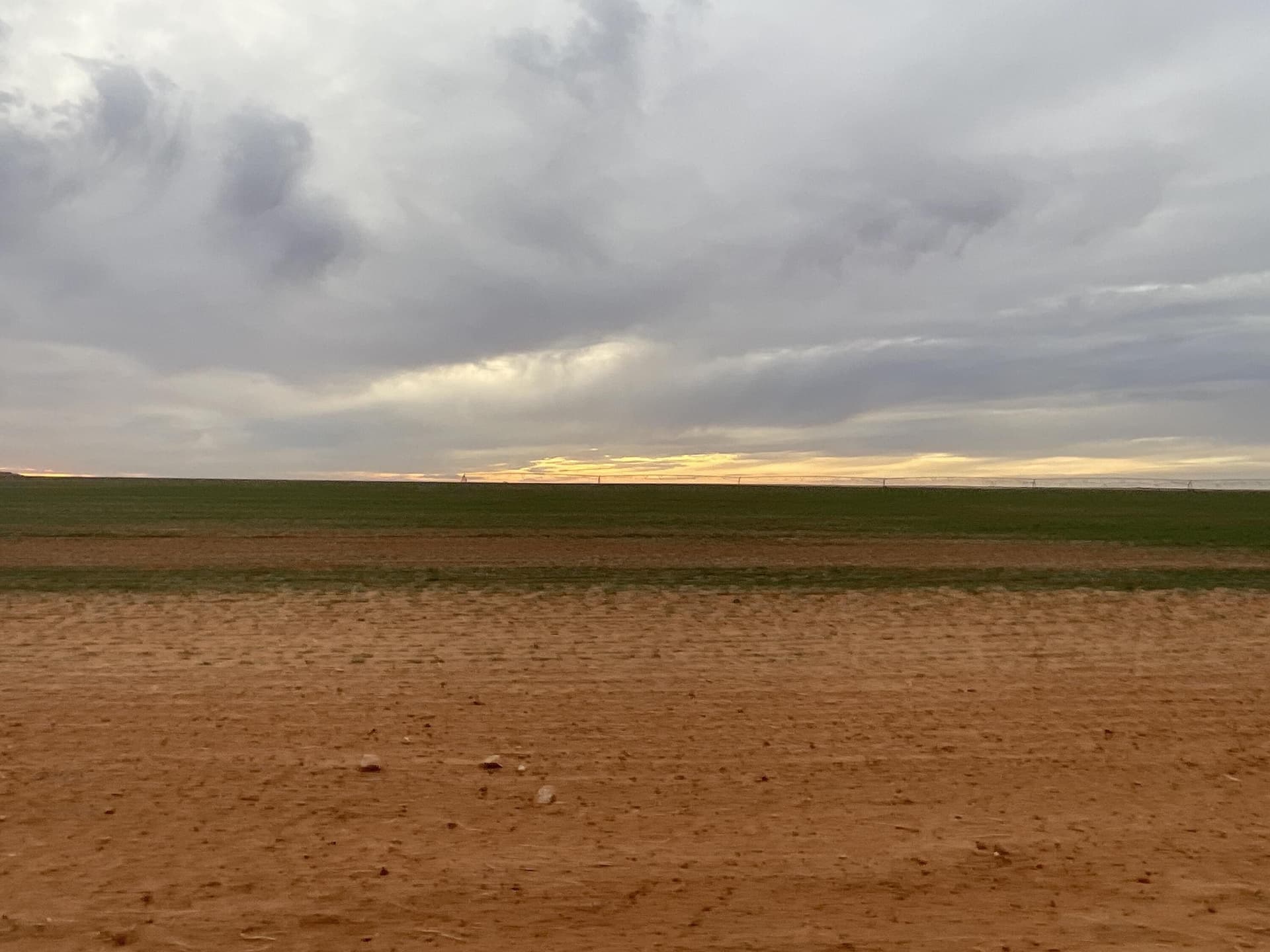 640 acres in Gaines County gallery image 2