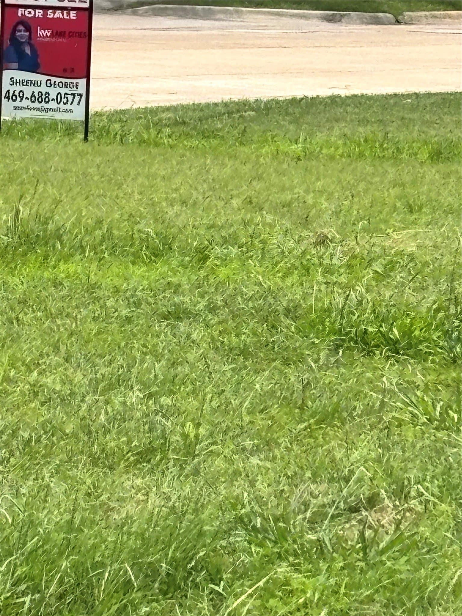 1.33 acres in Dallas County