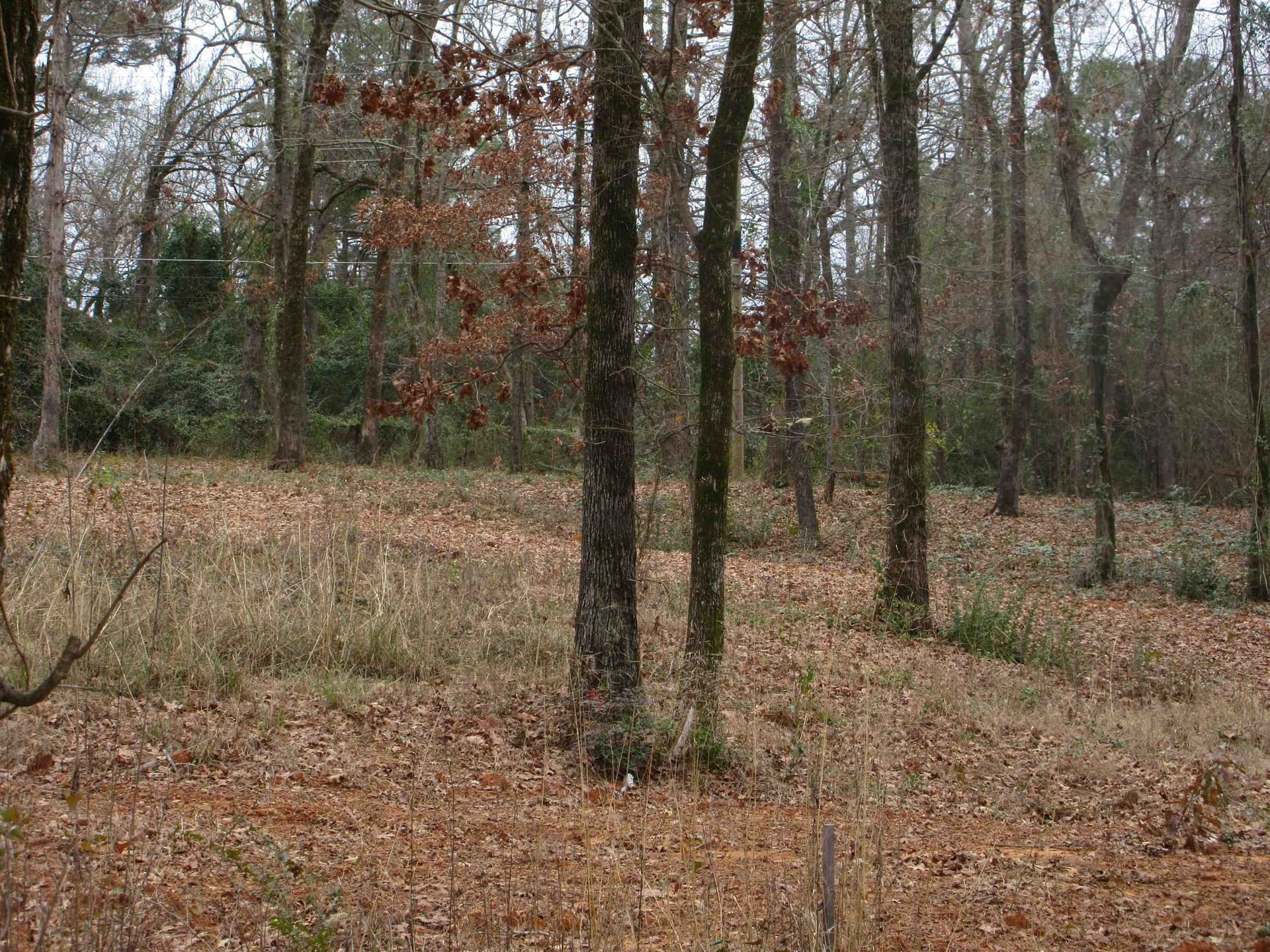 0.82 acres in Gregg County - photo 8