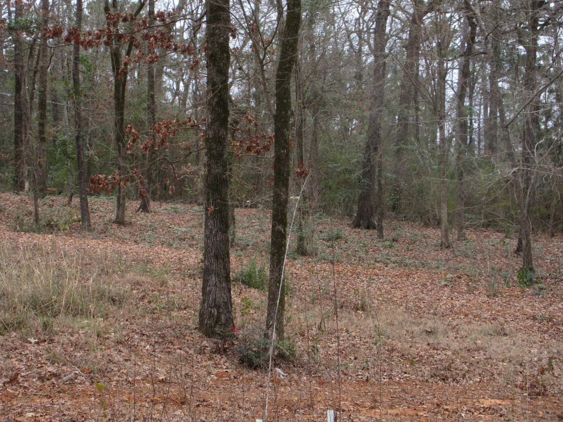 0.82 acres in Gregg County featured view