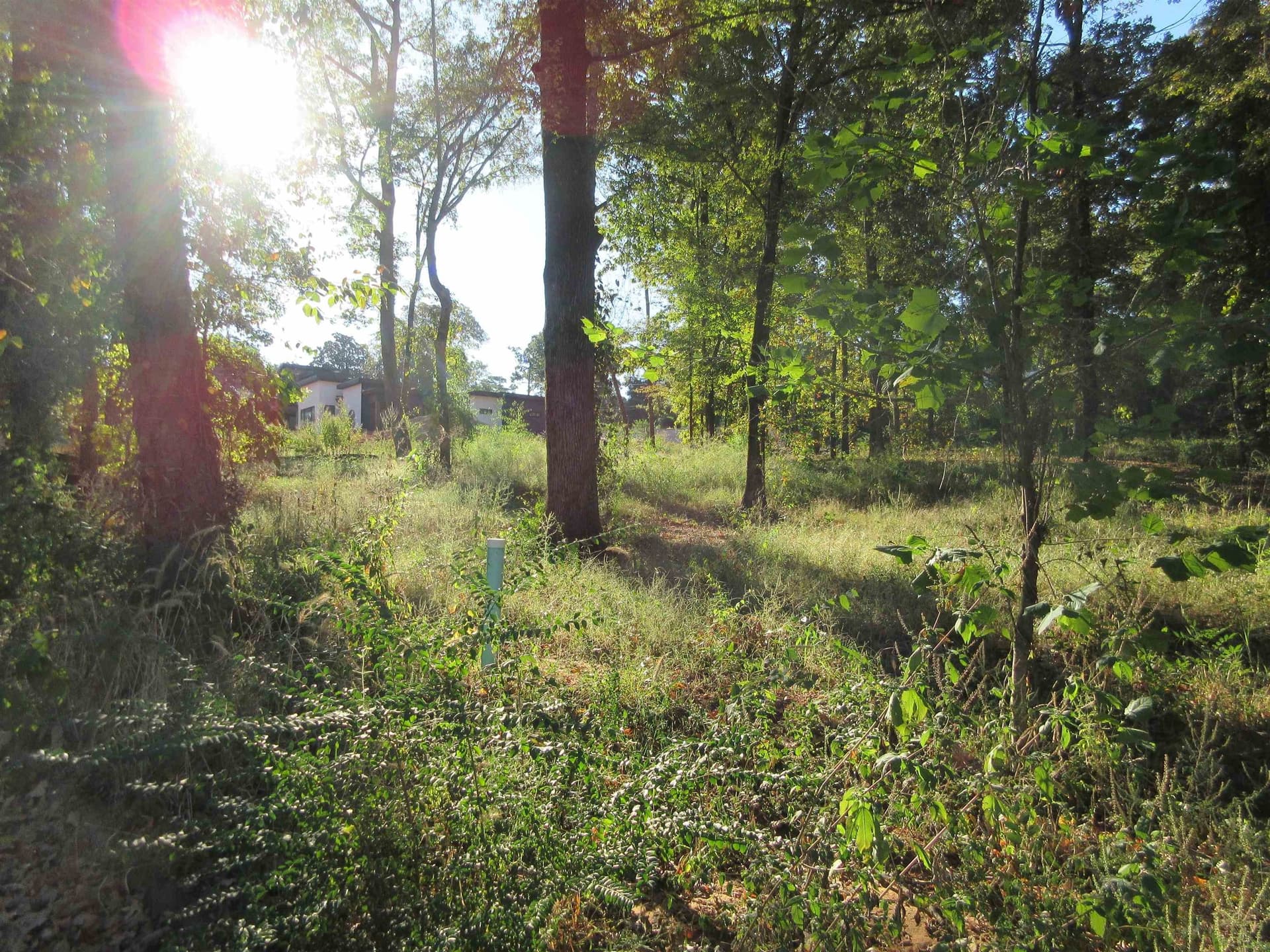 0.82 acres in Gregg County - photo 25