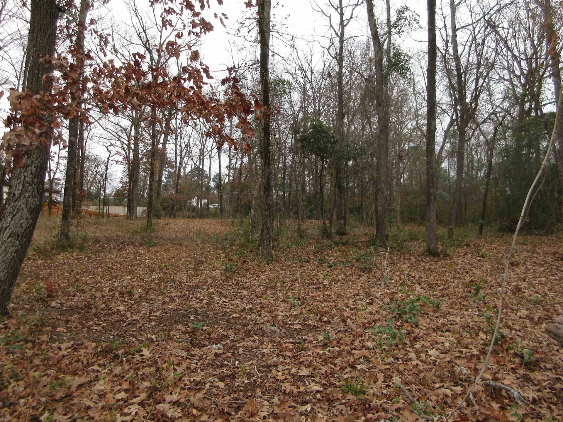 0.82 acres in Gregg County - photo 9