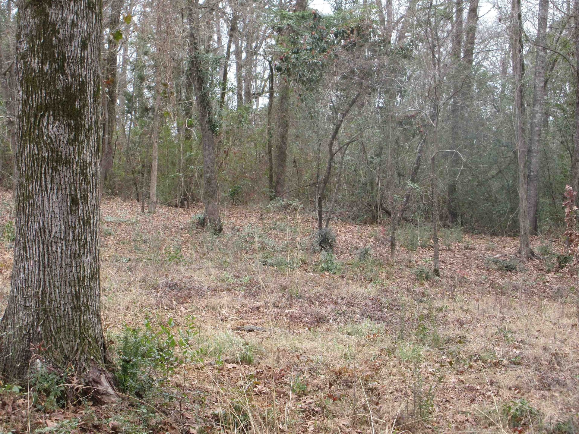 0.82 acres in Gregg County - photo 7