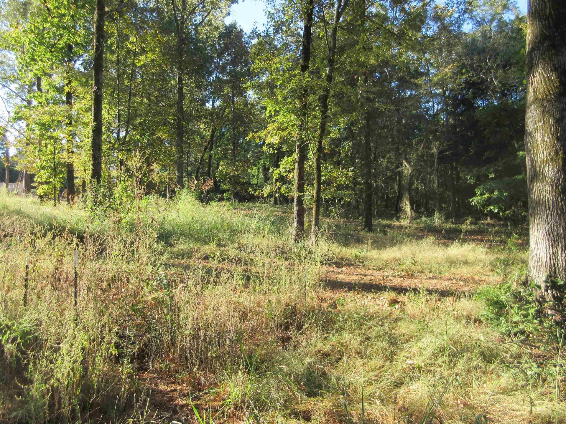 0.82 acres in Gregg County - photo 24