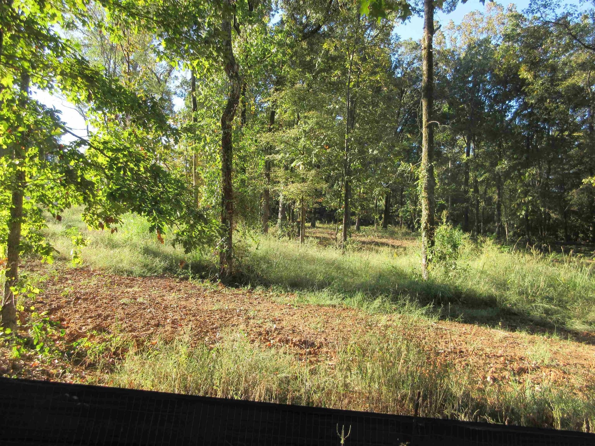 0.82 acres in Gregg County - photo 22