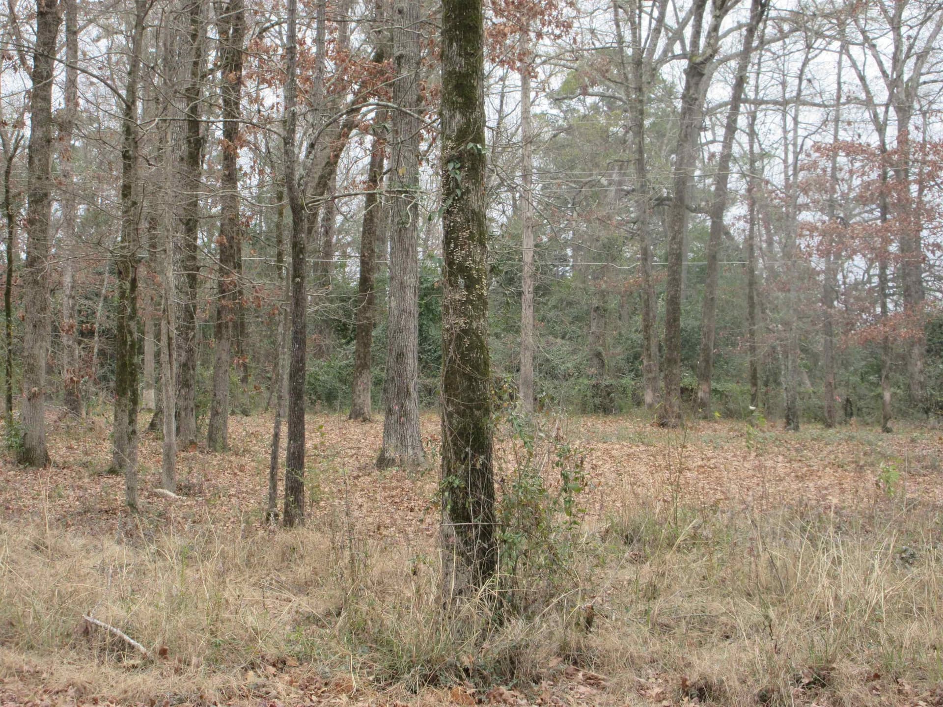 0.82 acres in Gregg County - photo 6