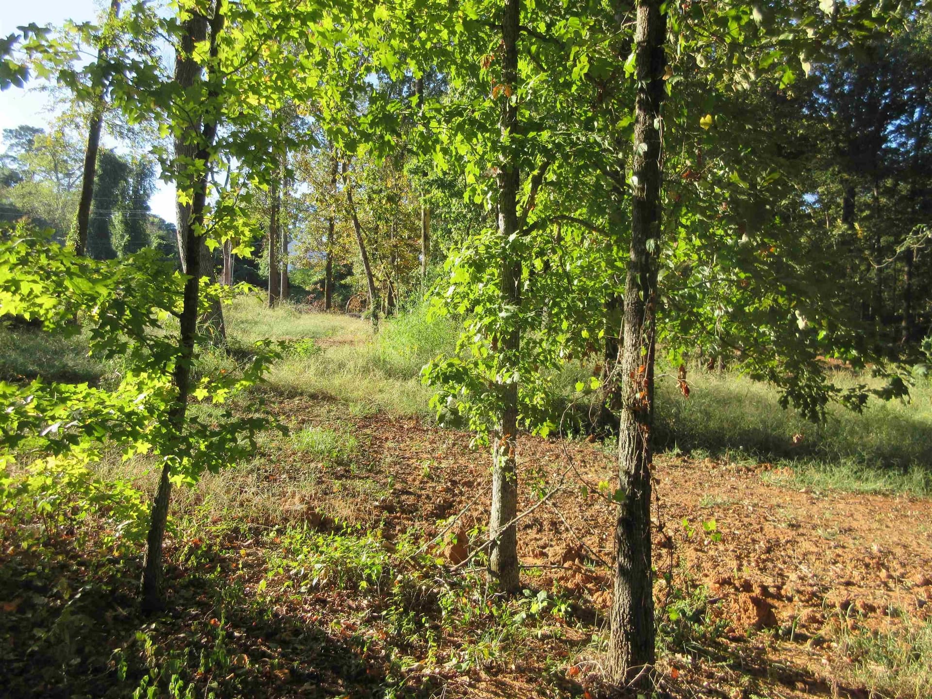 0.82 acres in Gregg County - photo 23