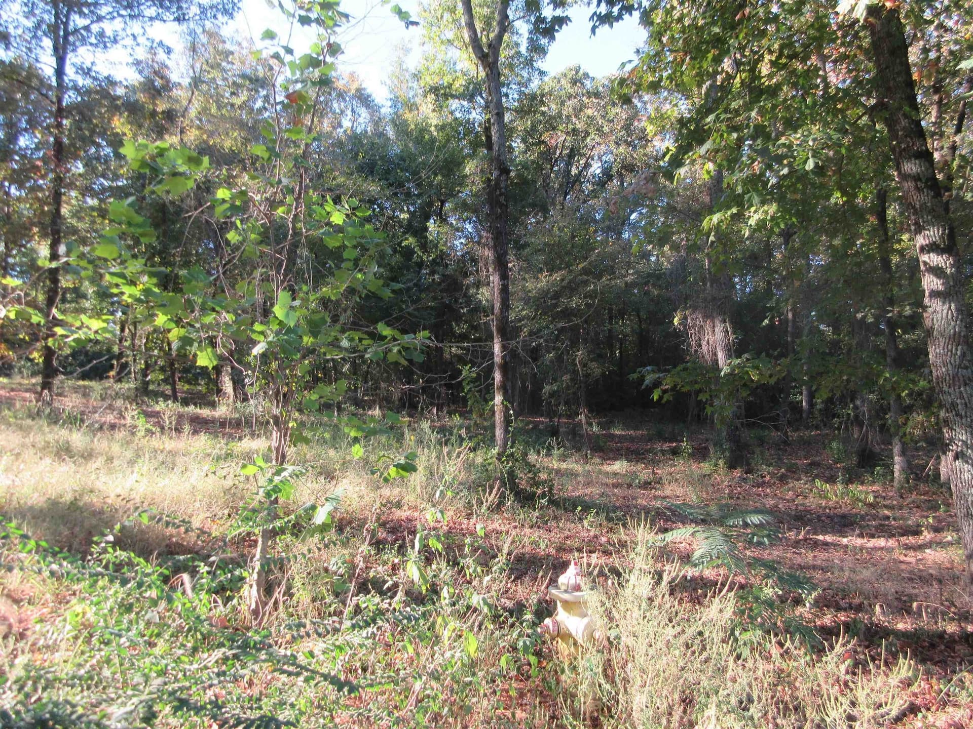0.82 acres in Gregg County - photo 13