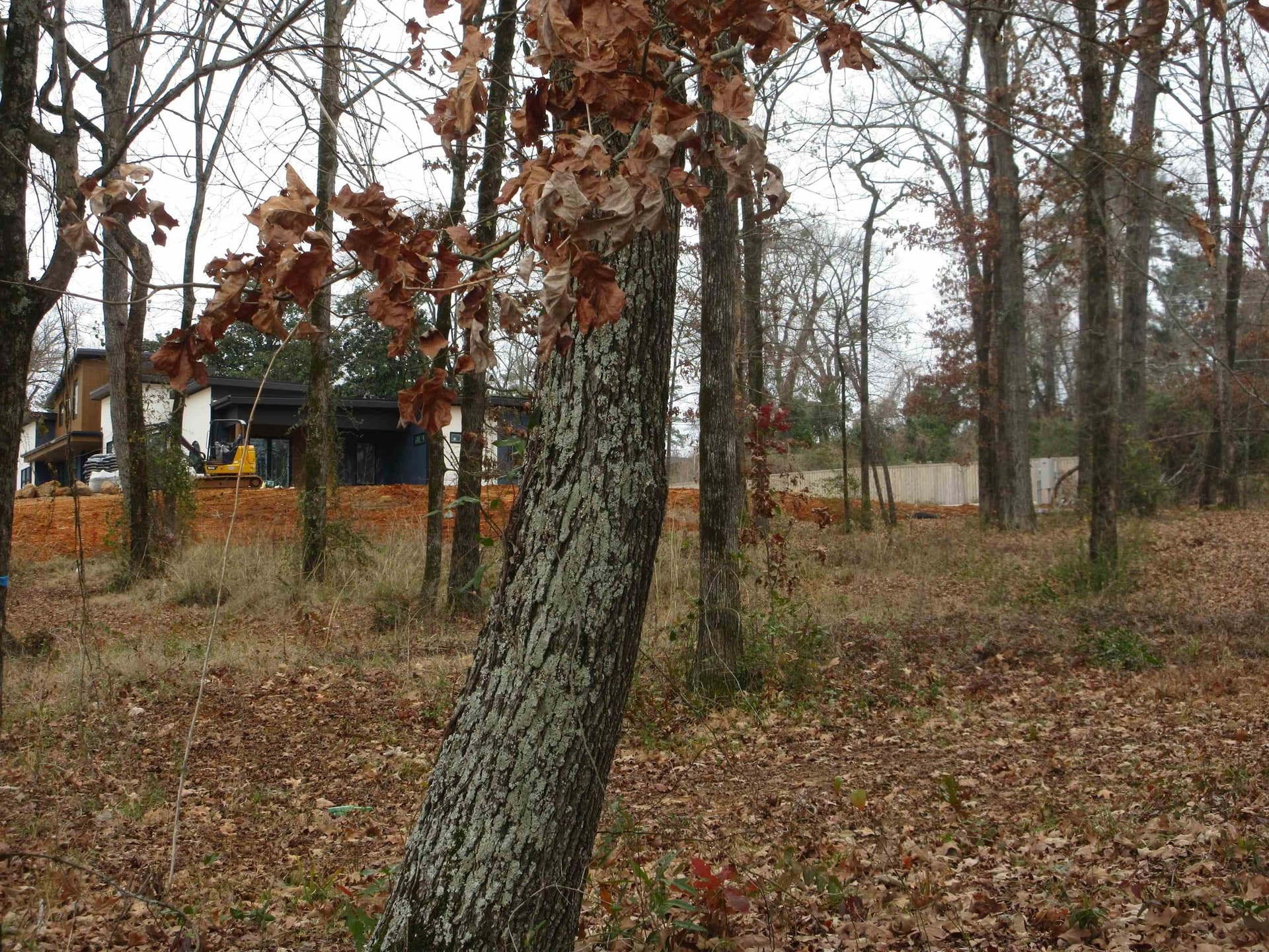0.82 acres in Gregg County - photo 12