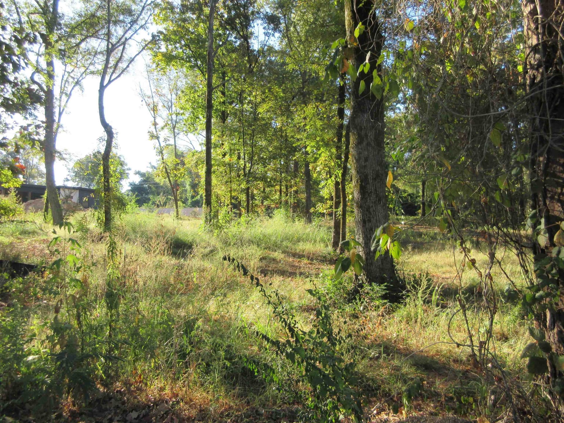 0.82 acres in Gregg County - photo 20