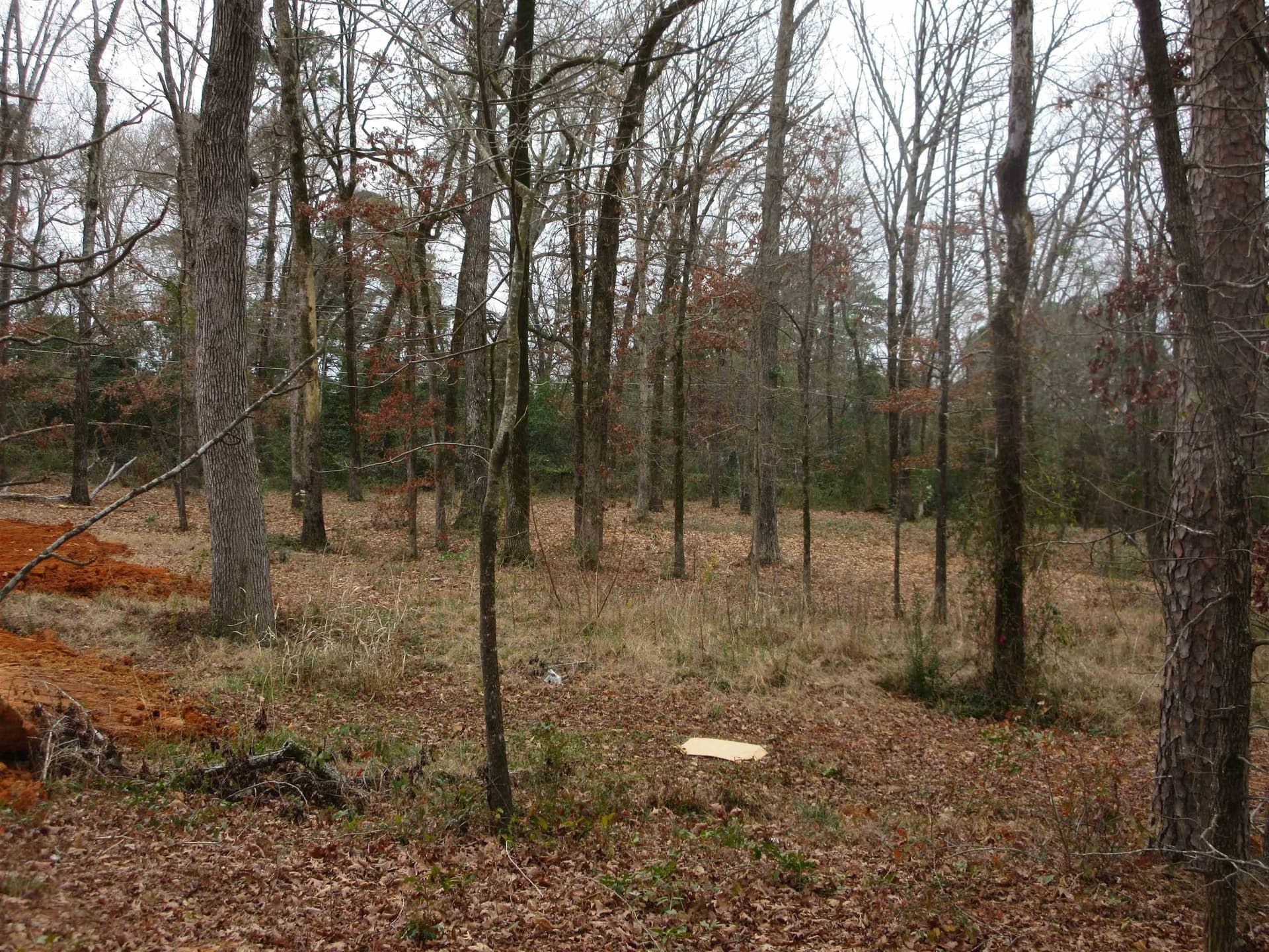 0.82 acres in Gregg County gallery image 4