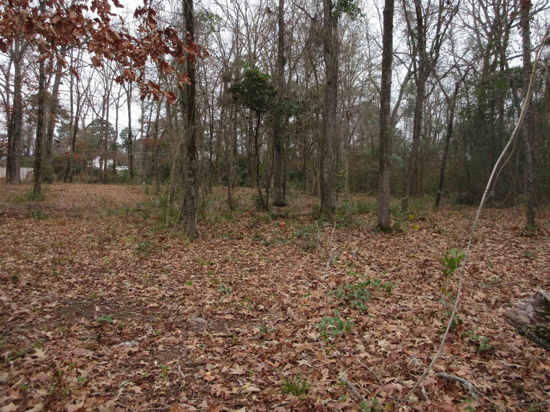 0.82 acres in Gregg County - photo 11
