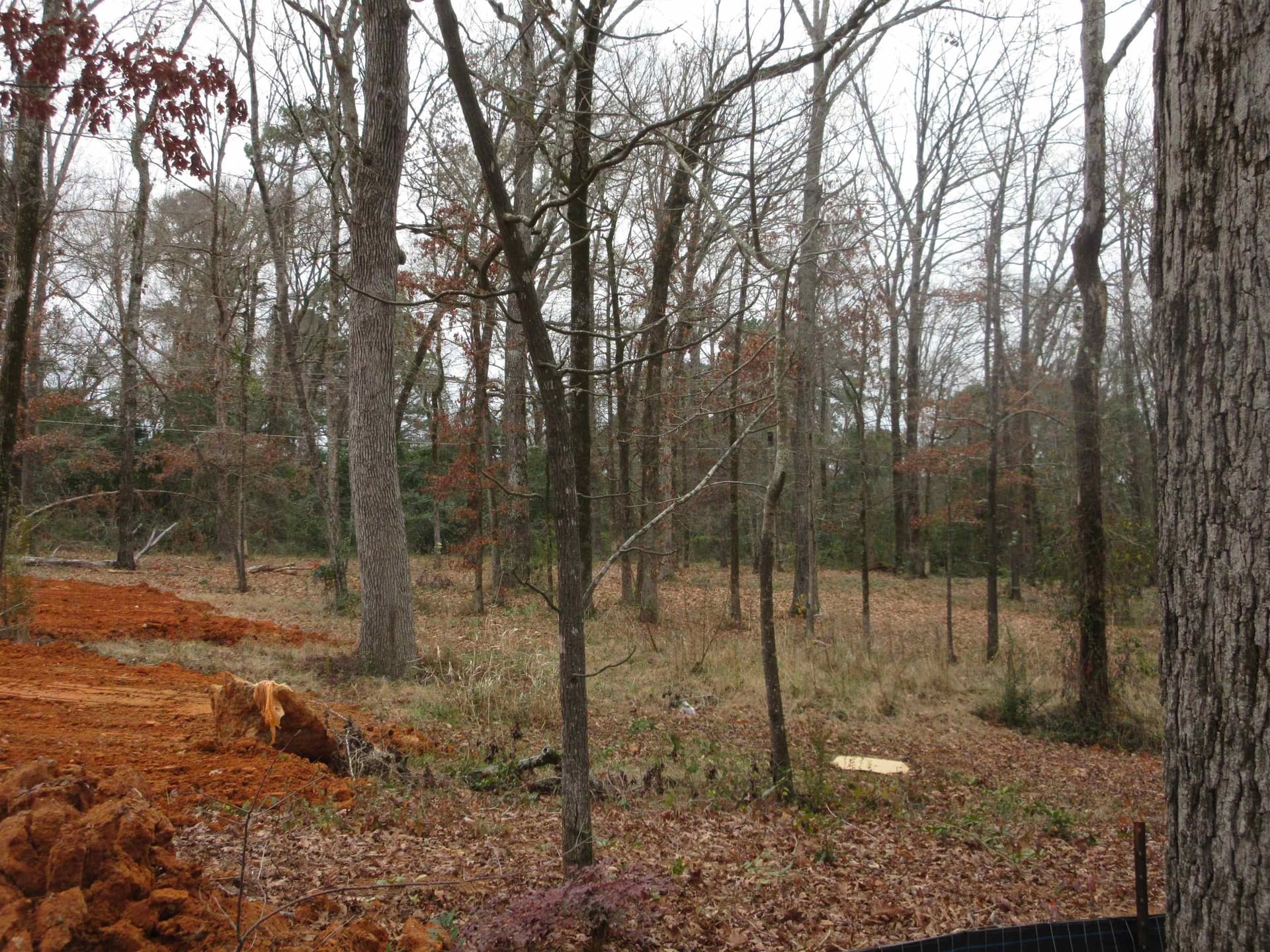 0.82 acres in Gregg County gallery image 2