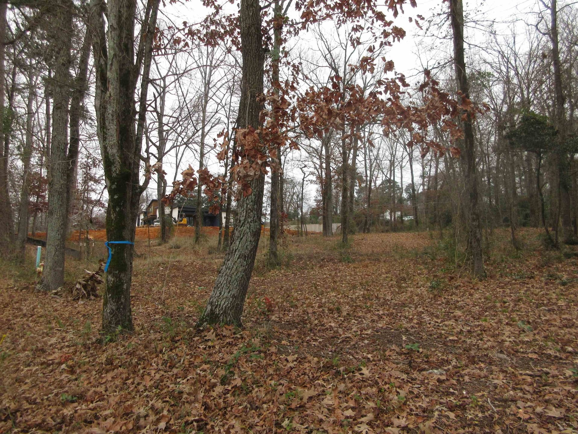 0.82 acres in Gregg County - photo 10