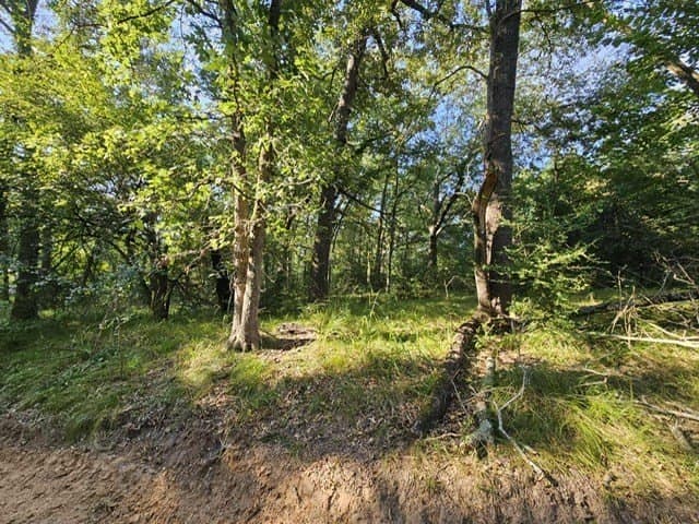 8 acres in ANDERSON County gallery image 4