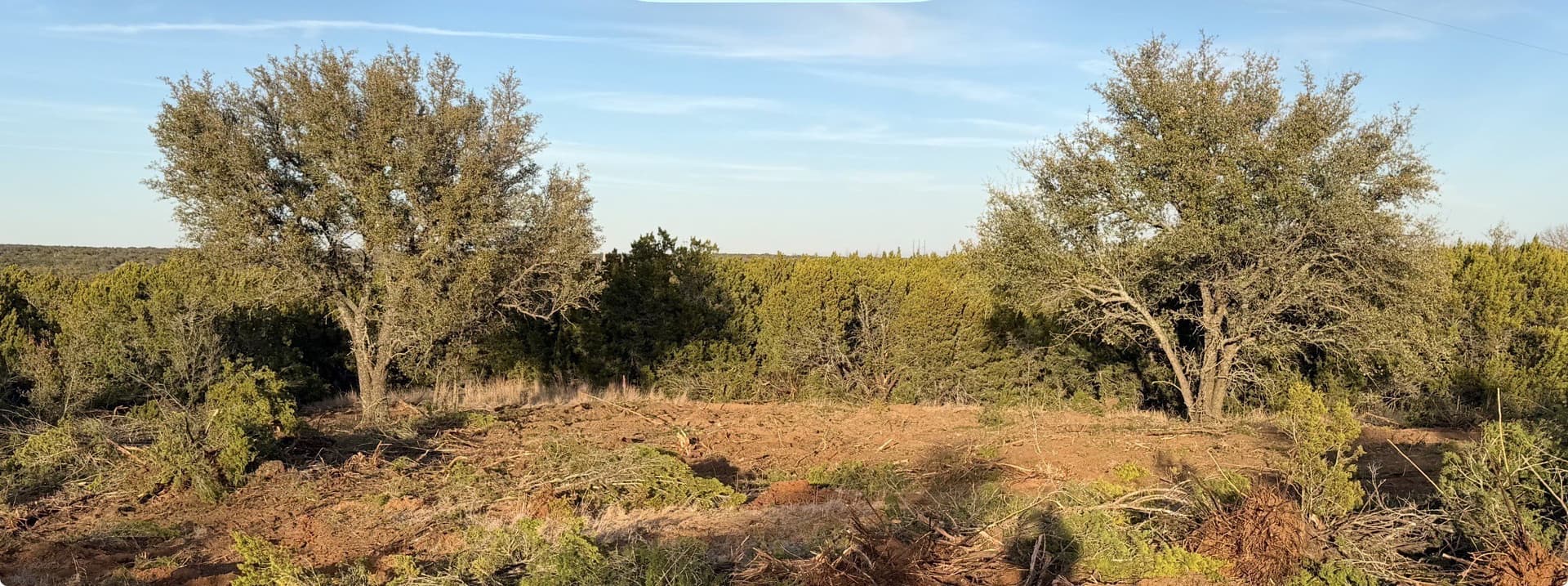 1.99 acres in Taylor County - photo 12