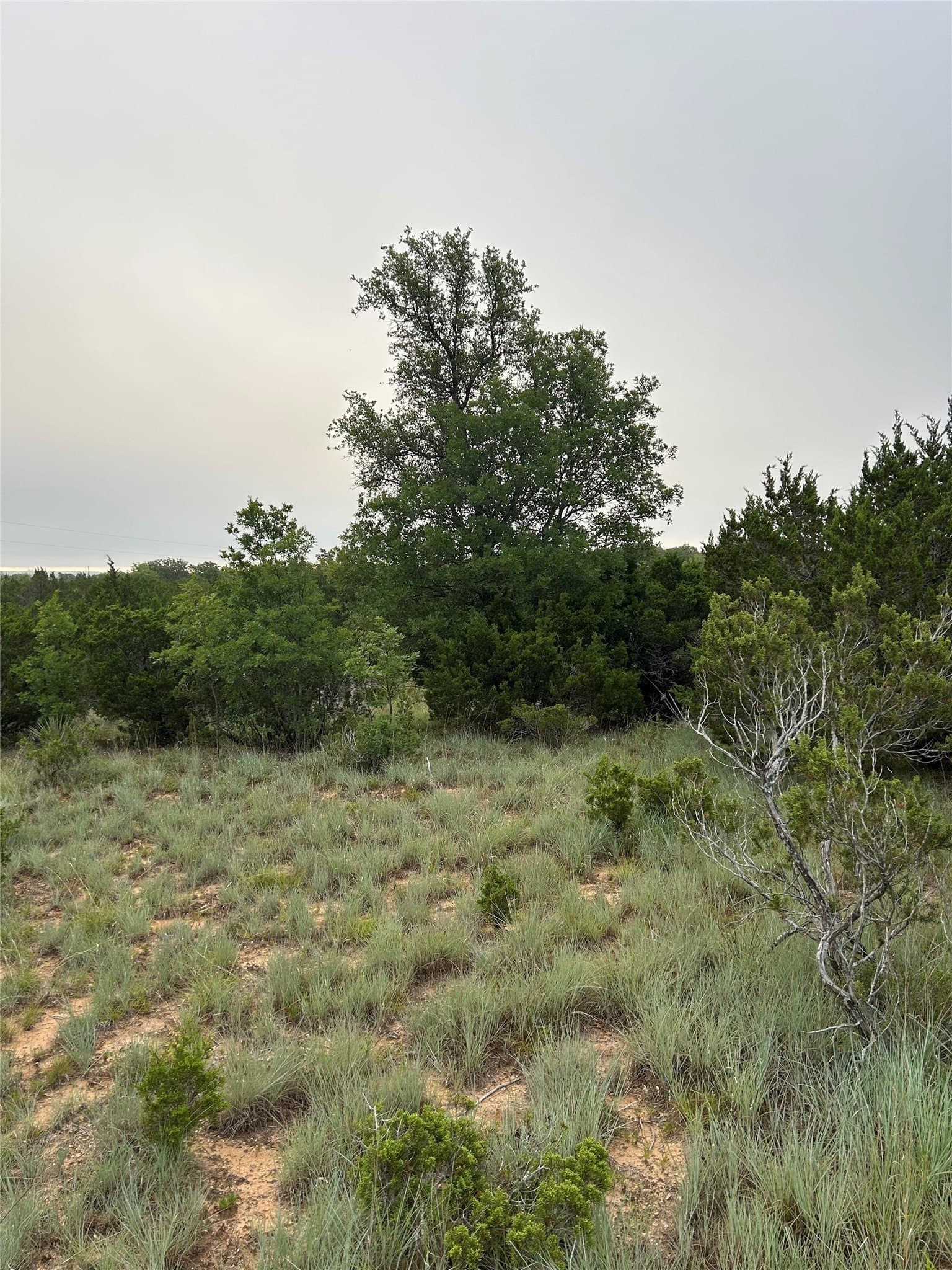 1.99 acres in Taylor County - photo 8