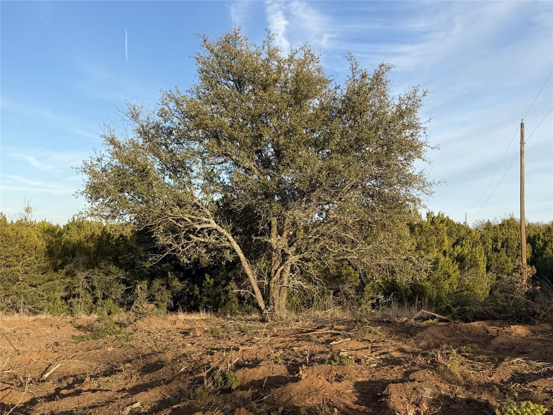 1.99 acres in Taylor County - photo 14